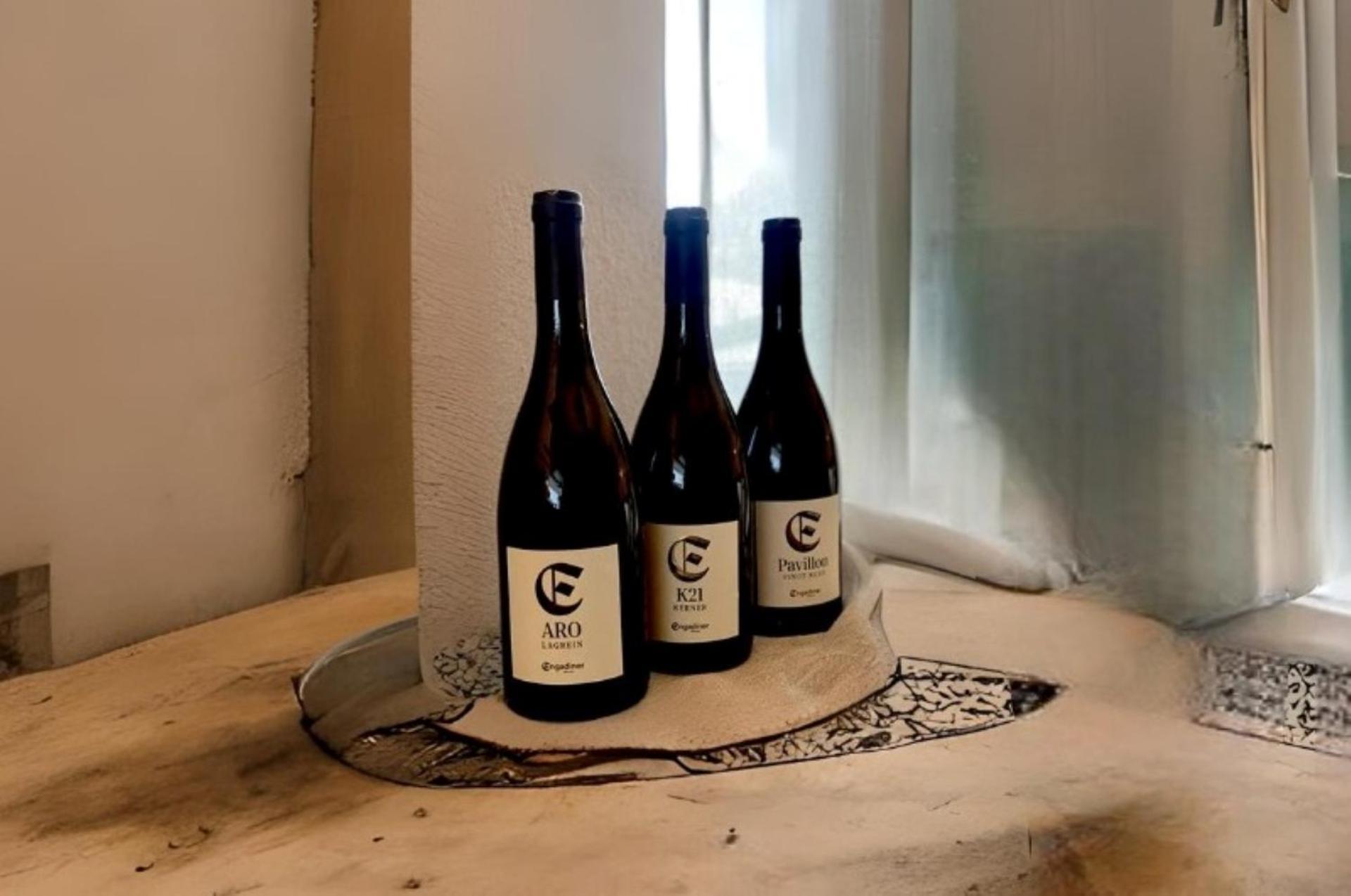 Engadiner Apartments & Wines Montagna Zewnętrze zdjęcie